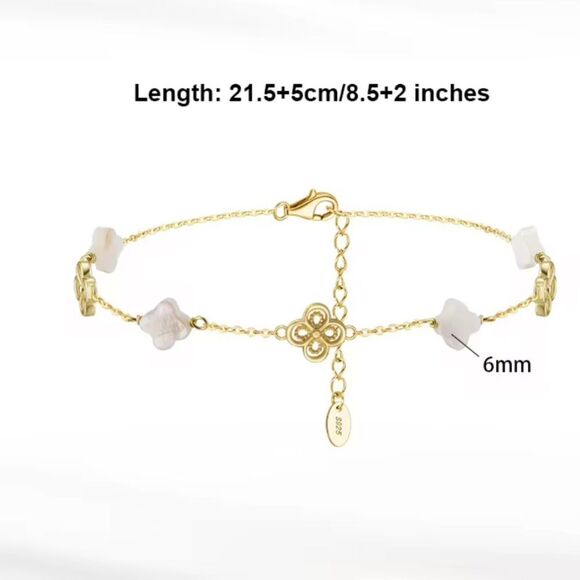 ENA925 Sterling Silver Anklet - Picture 5 of 5